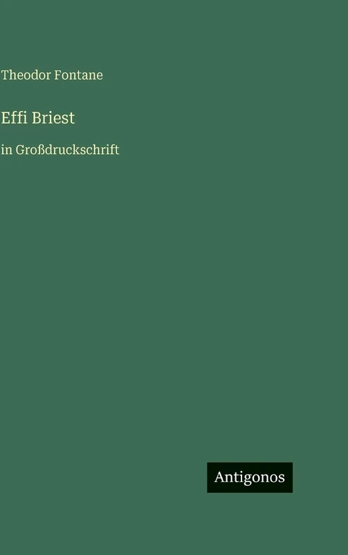 Effi Briest: in Großdruckschrift