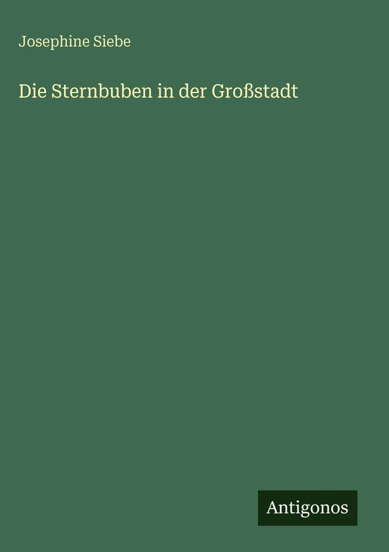 Die Sternbuben in der Großstadt - Image 1