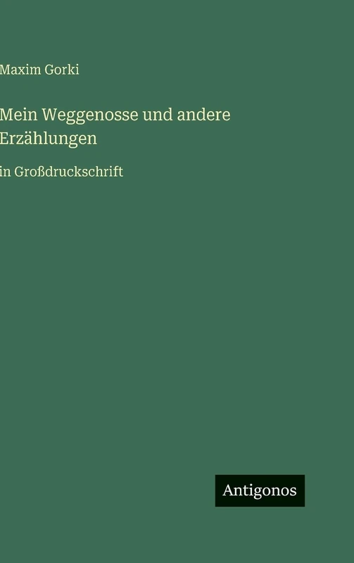 Mein Weggenosse und andere Erzählungen: in Großdruckschrift