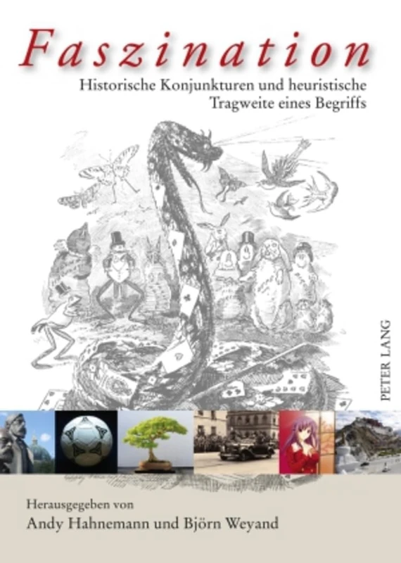 Faszination: Historische Konjunkturen und heuristische Tragweite eines Begriffs - Image 1