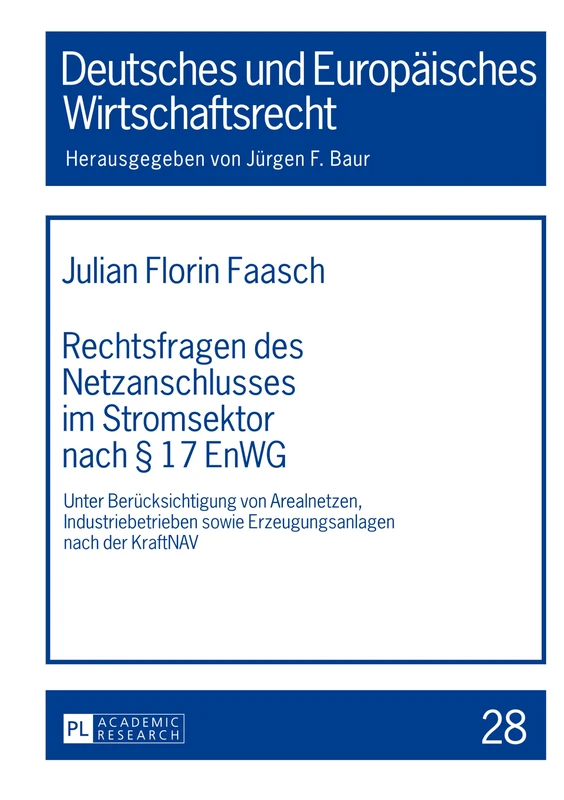 Rechtsfragen des Netzanschlusses im Stromsektor nach § 17 EnWG: Unter Beruecksichtigung von Arealnetzen, Industriebetrieben sowie Erzeugungsanlagen ... (Deutsches Und Europäisches Wirtschaftsrecht)