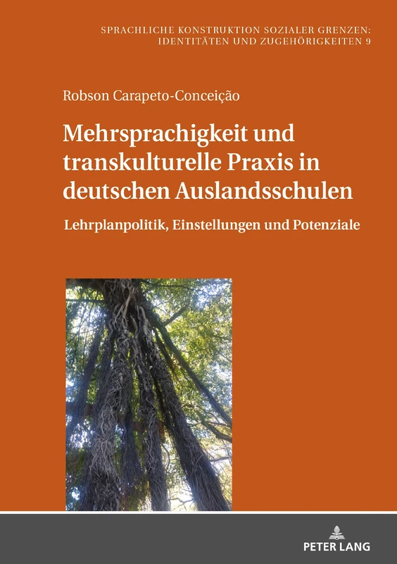 Mehrsprachigkeit und transkulturelle Praxis in deutschen Auslandsschulen: Lehrplanpolitik, Einstellungen Und Potenziale: 9 (Sprachliche Konstruktion Sozialer Grenzen: Identitaeten Und)