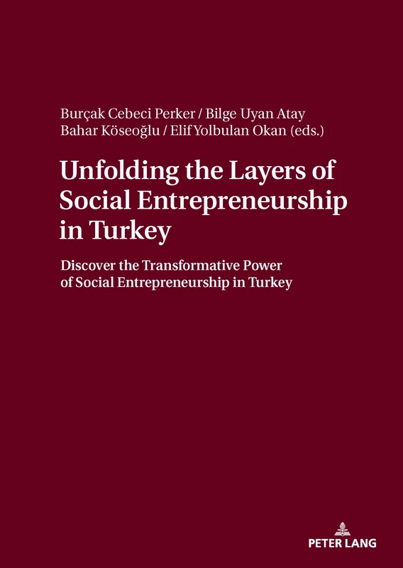 Unfolding the Layers of Social Entrepreneurship in Turkey: Discover the Transformative Power of Social Entrepreneurship in Turkey - Image 1