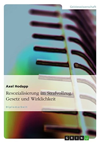 Resozialisierung im Strafvollzug. Gesetz und Wirklichkeit
