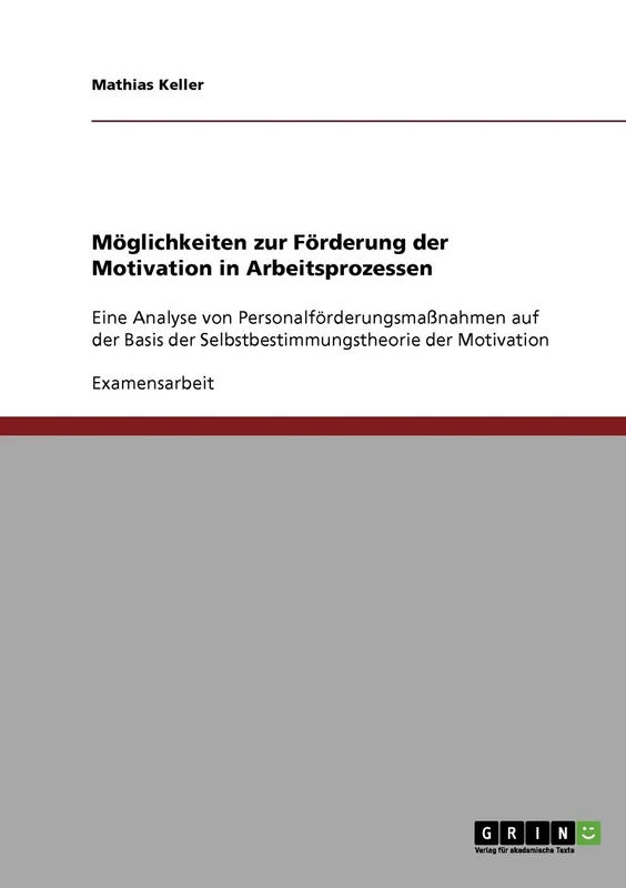 Möglichkeiten zur Förderung der Motivation in Arbeitsprozessen: Eine Analyse von Personalförderungsmaßnahmen auf der Basis der Selbstbestimmungstheorie der Motivation - Image 1