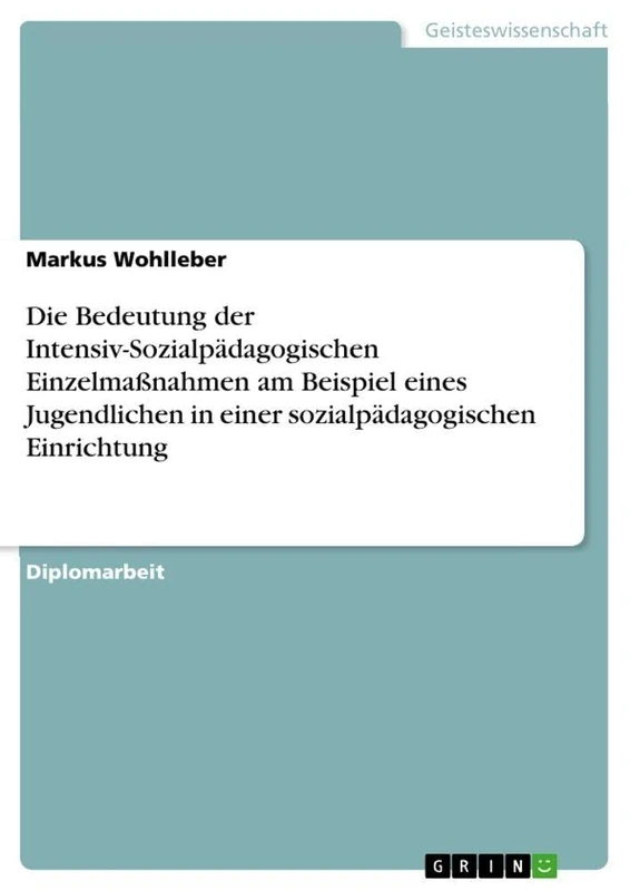 Die Bedeutung der Intensiv-Sozialpädagogischen Einzelmaßnahmen am Beispiel eines Jugendlichen in einer sozialpädagogischen Einrichtung - Image 1