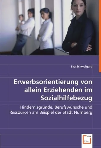 Erwerbsorientierung von allein Erziehenden im Sozialhilfebezug: Hindernisgründe, Berufswünsche und Ressourcen am Beispiel der Stadt Nürnberg
