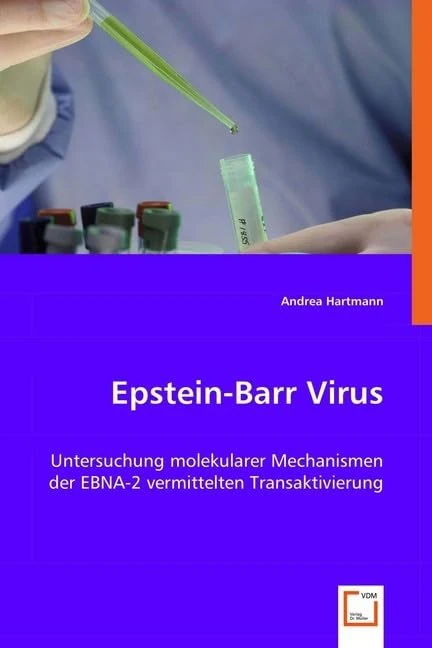Epstein-Barr Virus: Untersuchung molekularer Mechanismen der EBNA-2 vermittelten Transaktivierung