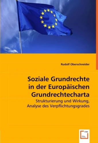 Soziale Grundrechte in der Europäischen Grundrechtecharta: Strukturierung und Wirkung, Analyse des Verpflichtungsgrades