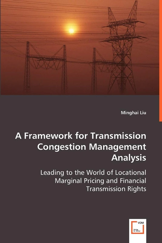 A Framework for Transmission Congestion Management Analysis