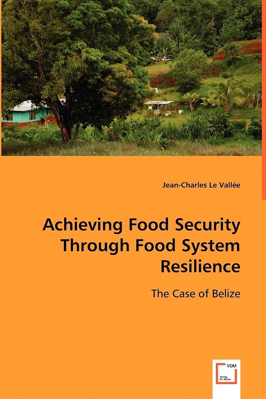 Achieving Food Security Through Food System Resilience