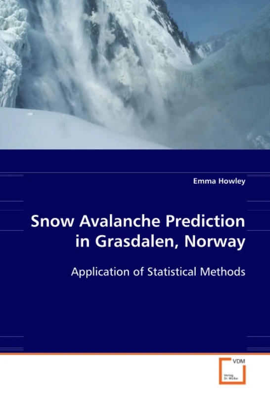Snow Avalanche Prediction in Grasdalen, Norway: Application of Statistical Methods