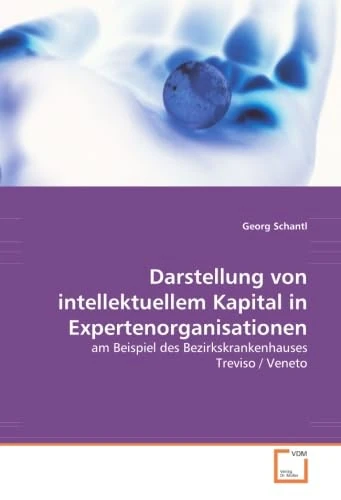 Darstellung von intellektuellem Kapital in Expertenorganisationen: am Beispiel des Bezirkskrankenhauses Treviso / Veneto