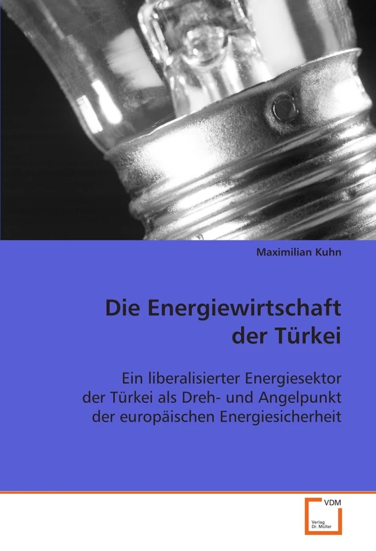 Die Energiewirtschaft der Türkei: Ein liberalisierter Energiesektor der Türkei als Dreh- und Angelpunkt der europäischen Energiesicherheit