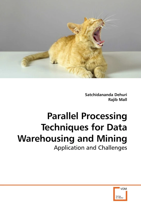 Parallel Processing Techniques for Data Warehousing and Mining: Application and Challenges