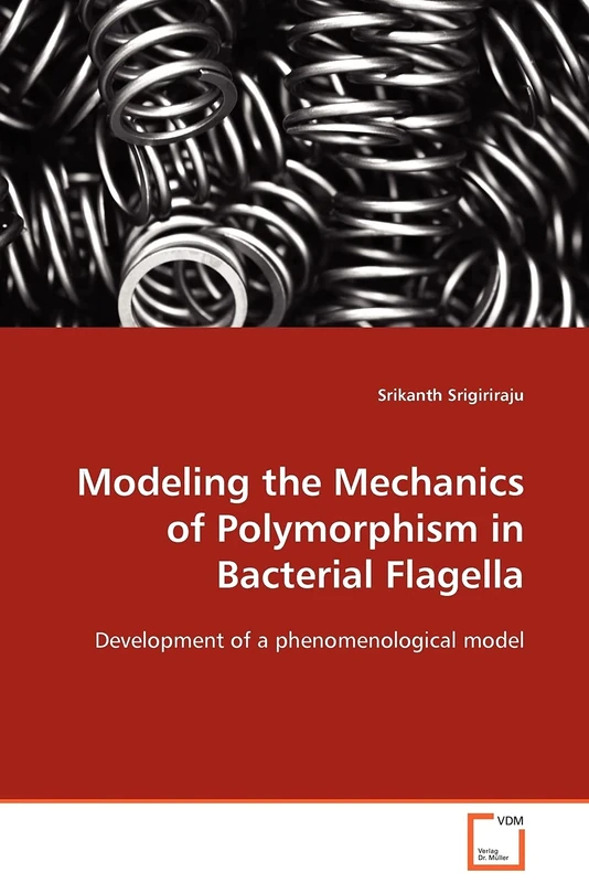 Modeling the Mechanics of Polymorphism in Bacterial Flagella: Development of a phenomenological model - Image 1