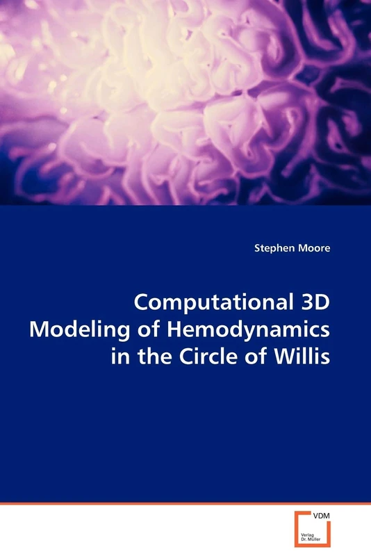 Computational 3D Modeling of Hemodynamics in the Circle of Willis
