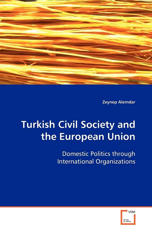Turkish Civil Society and the European Union: Domestic Politics through International Organizations