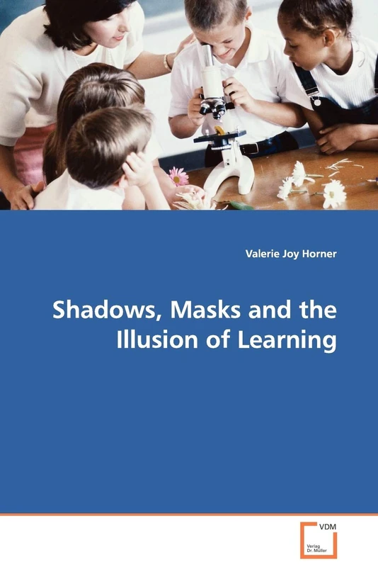 Shadows, Masks and the Illusion of Learning
