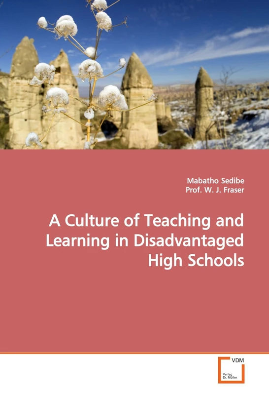 A Culture of Teaching and Learning in Disadvantaged High Schools