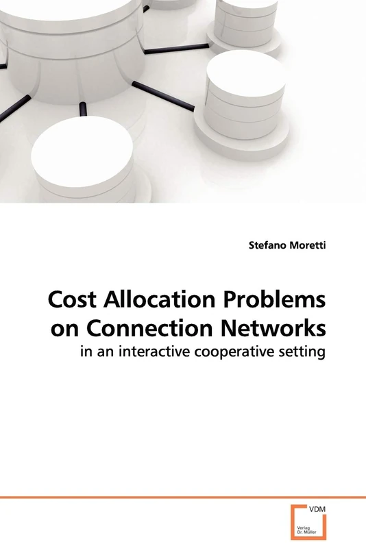 Cost Allocation Problems on Connection Networks: in an interactive cooperative setting