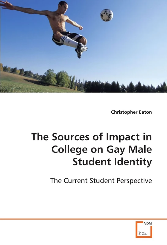 The Sources of Impact in College on Gay Male Student Identity: The Current Student Perspective