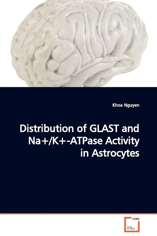 Distribution of GLAST and Na+/K+-ATPase Activity in Astrocytes - Image 1