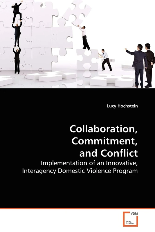 Collaboration, Commitment, and Conflict: Implementation of an Innovative, Interagency Domestic Violence Program