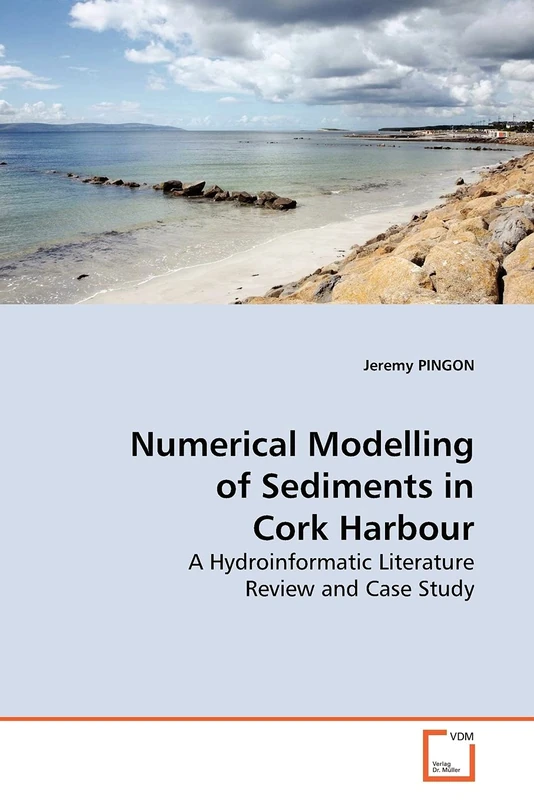 Numerical Modelling of Sediments in Cork Harbour: A Hydroinformatic Literature Review and Case Study