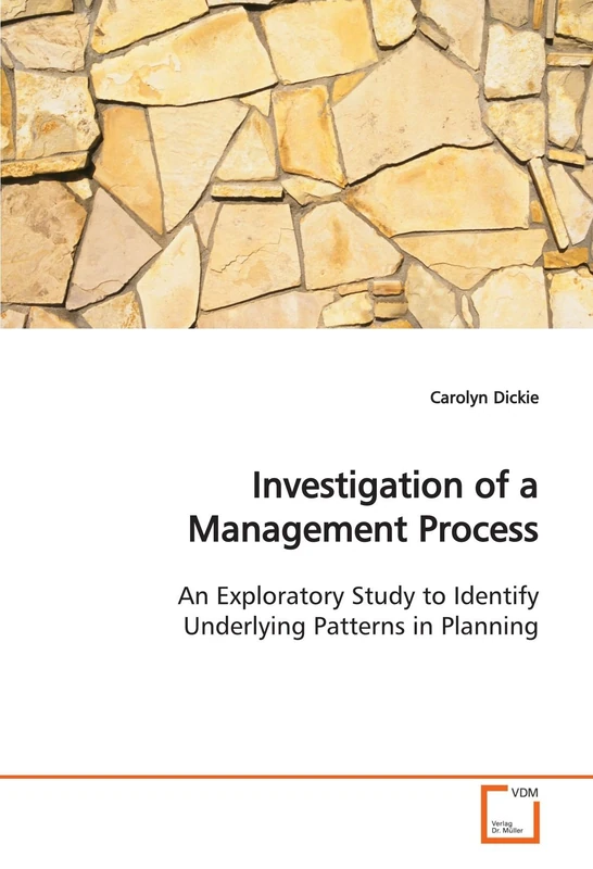 Investigation of a Management Process: An Exploratory Study to Identify Underlying Patterns in Planning
