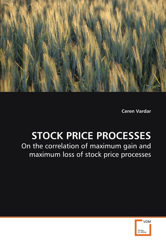 STOCK PRICE PROCESSES: On the correlation of maximum gain and maximum loss of stock price processes - Image 1