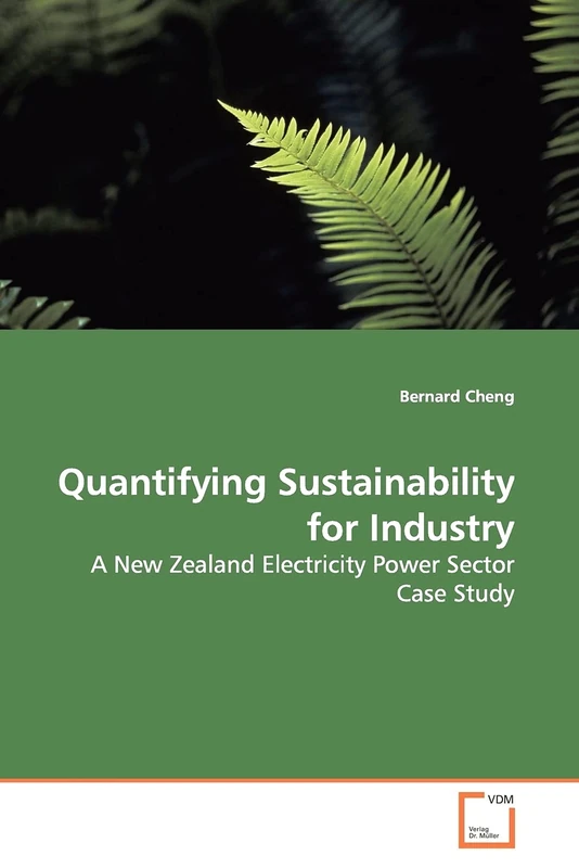 Quantifying Sustainability for Industry: A New Zealand Electricity Power Sector Case Study