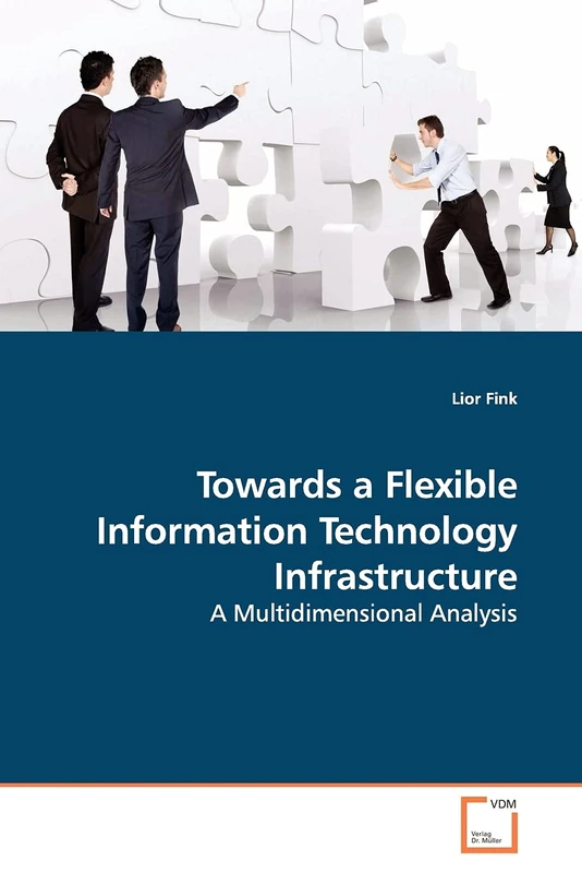 Towards a Flexible Information Technology Infrastructure: A Multidimensional Analysis