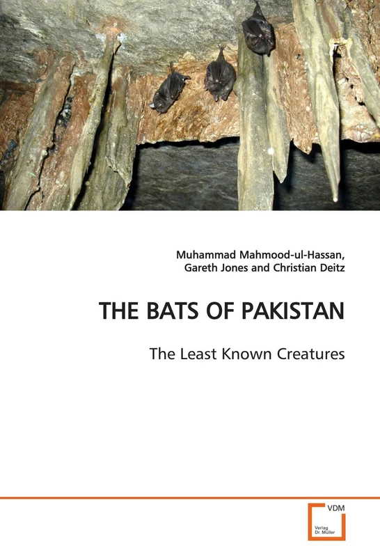 THE BATS OF PAKISTAN: The Least Known Creatures