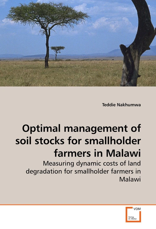 Optimal management of soil stocks for smallholder farmers in Malawi: Measuring dynamic costs of land degradation for smallholder farmers in Malawi - Image 1