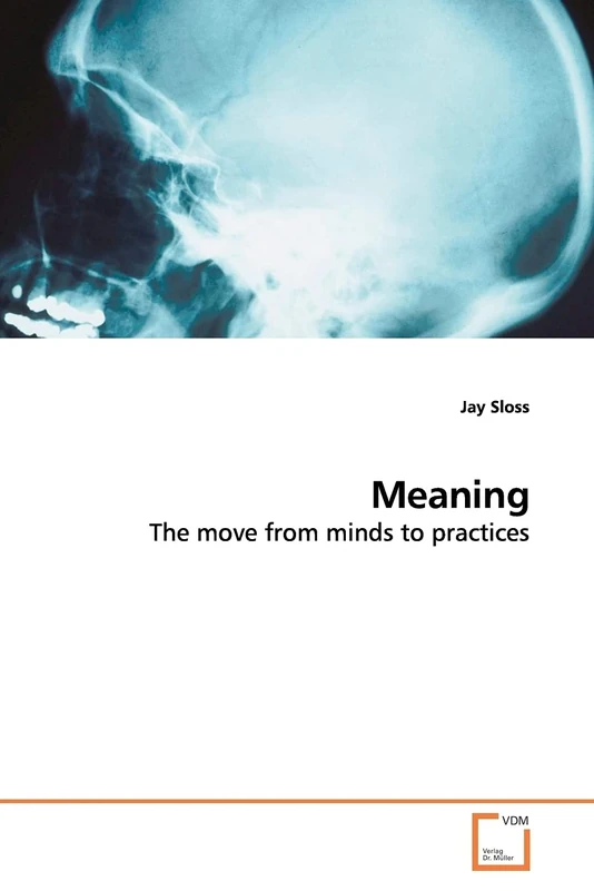 Meaning: The move from minds to practices