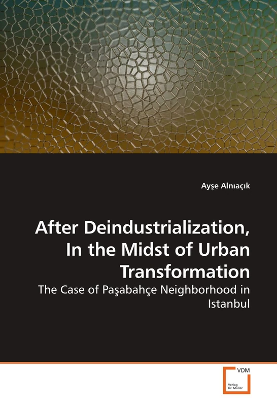 After Deindustrialization, In the Midst of Urban Transformation: The Case of Pasabahçe Neighborhood in Istanbul