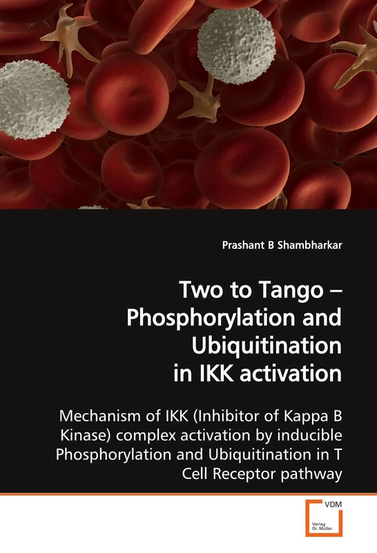 Two to Tango ? Phosphorylation and Ubiquitination in IKK activation - Image 1