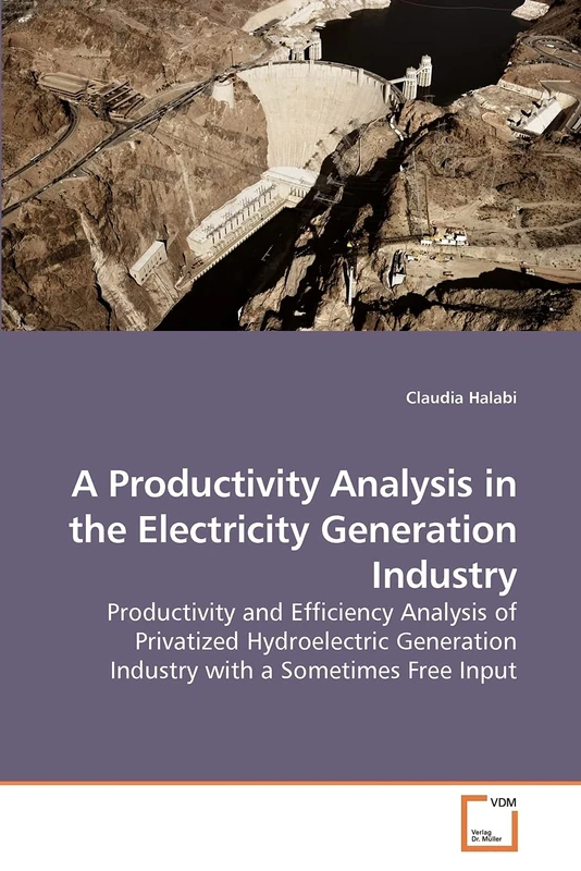 A Productivity Analysis in the Electricity Generation Industry: Productivity and Efficiency Analysis of Privatized Hydroelectric Generation Industry with a Sometimes Free Input