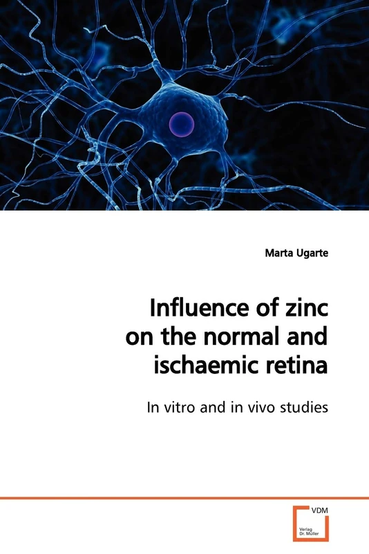 Influence of zinc on the normal and ischaemic retina: In vitro and in vivo studies