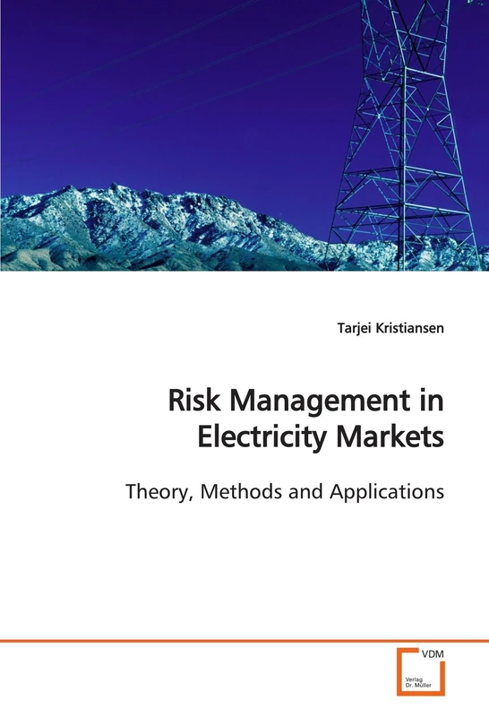 Risk Management in Electricity Markets: Theory, Methods and Applications
