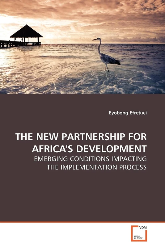 THE NEW PARTNERSHIP FOR AFRICA'S DEVELOPMENT: EMERGING CONDITIONS IMPACTING THE IMPLEMENTATION PROCESS