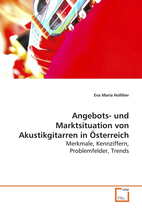 Angebots- und Marktsituation von Akustikgitarren in Österreich: Merkmale, Kennziffern, Problemfelder, Trends