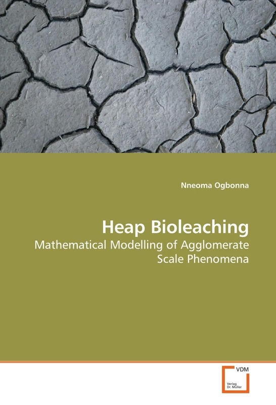 Heap Bioleaching: Mathematical Modelling of Agglomerate Scale Phenomena - Image 1
