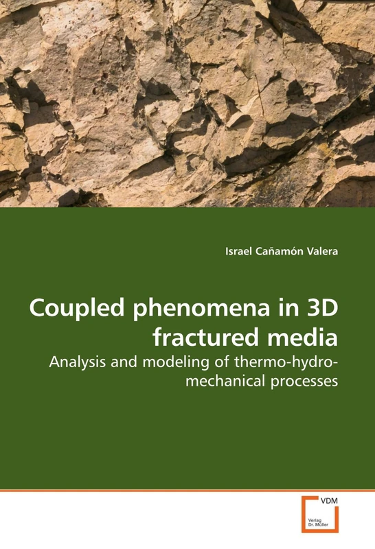 Coupled phenomena in 3D fractured media: Analysis and modeling of thermo-hydro-mechanical processes