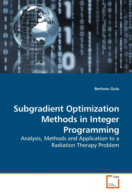Subgradient Optimization Methods in Integer Programming: Analysis, Methods and Application to a Radiation Therapy Problem