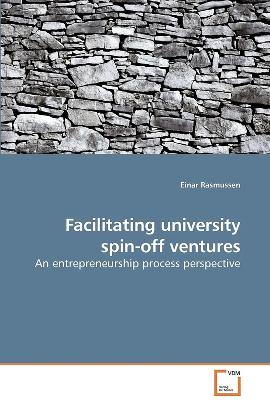 Facilitating university spin-off ventures: An entrepreneurship process perspective