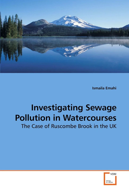 Investigating Sewage Pollution in Watercourses: The Case of Ruscombe Brook in the UK - Image 1
