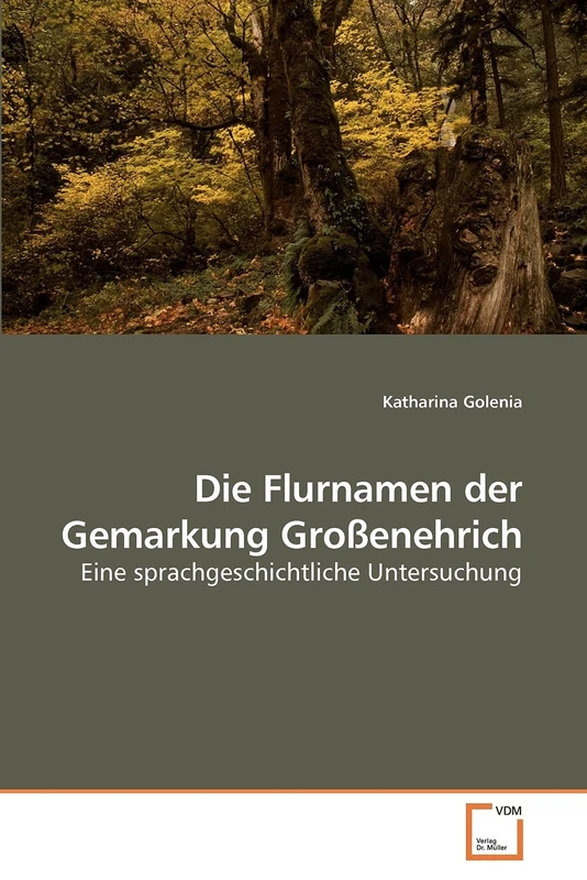 Die Flurnamen der Gemarkung Großenehrich: Eine sprachgeschichtliche Untersuchung - Image 1