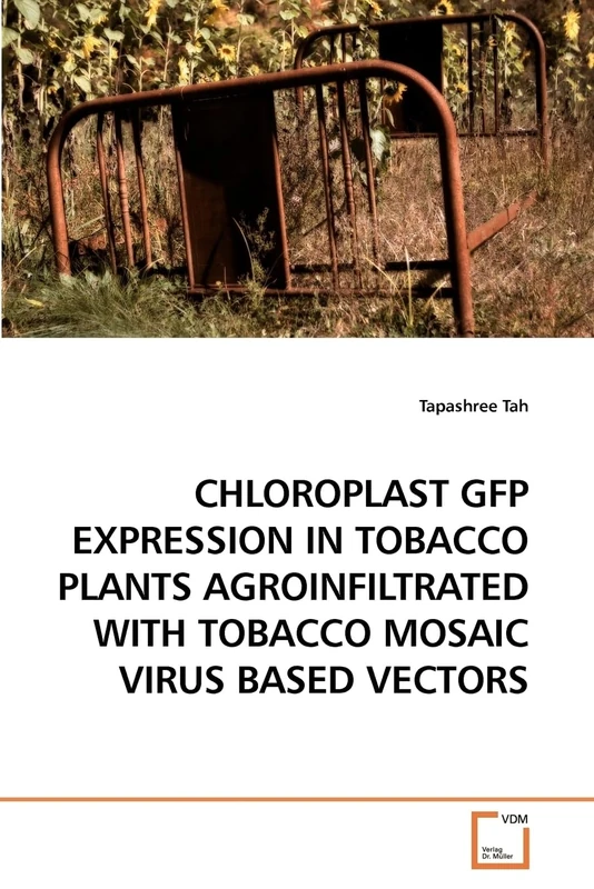 CHLOROPLAST GFP EXPRESSION IN TOBACCO PLANTS AGROINFILTRATED WITH TOBACCO MOSAIC VIRUS BASED VECTORS - Image 1